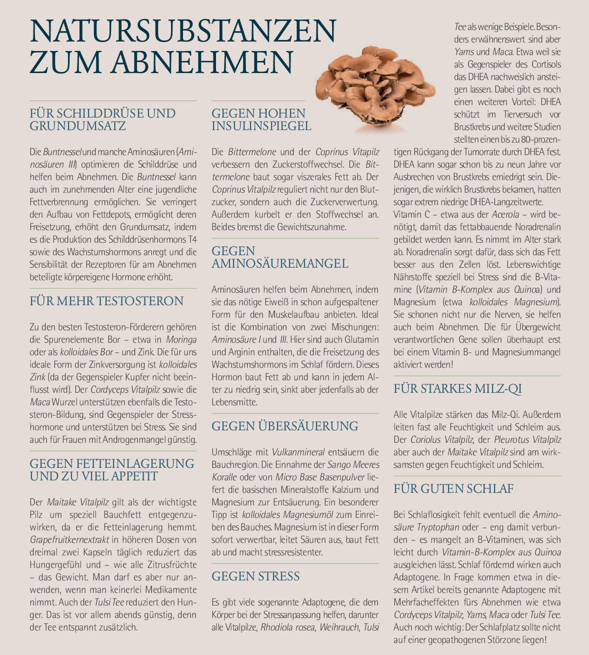 Natursubstanzen zum abnehmen