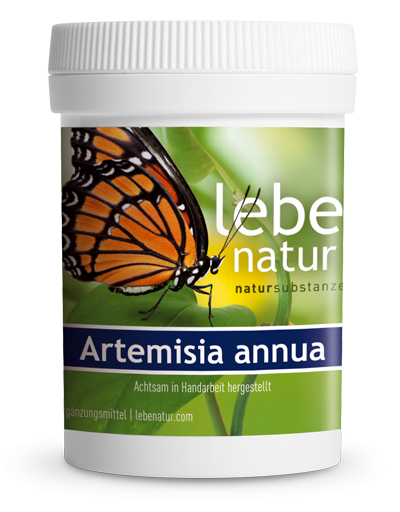 lebe natur® Artemisia annua 90er