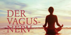 Mehr über den Artikel erfahren DER VAGUS-NERV