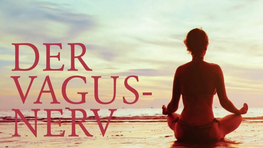 DER VAGUS-NERV