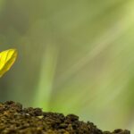 „Corona-Spritzen“: So sieht „gehorsame Wissenschaft“ aus