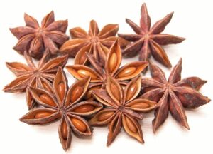 Mehr über den Artikel erfahren 2. Vereinsnewsletter 2023 – Verein Gesundheit, natur & therapie