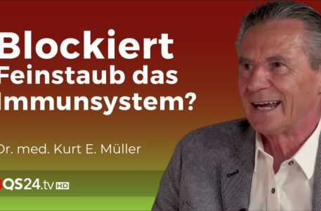 Warum belastet Feinstaub unsere Gesundheit so sehr?
