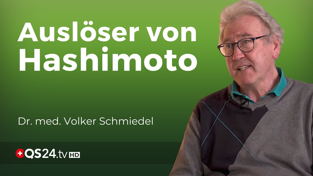 Die Zusammenhänge rund um Hashimoto | Dr. med. Volker Schmiedel