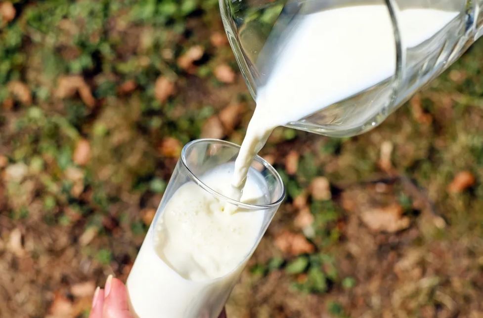 Impfung durch mRNA in der Milch möglich