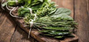 Mehr über den Artikel erfahren BITTERSTOFFE – SCHLÜSSEL ZU LEBENSLANGER GESUNDHEIT!