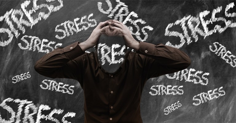 Stress lass nach – mit Rhodiola rosea