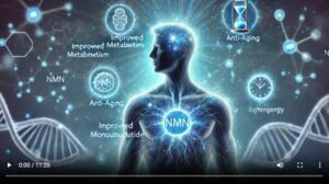 Mehr über den Artikel erfahren Boosten Sie Ihren Stoffwechsel mit NR+ & Vitamin C