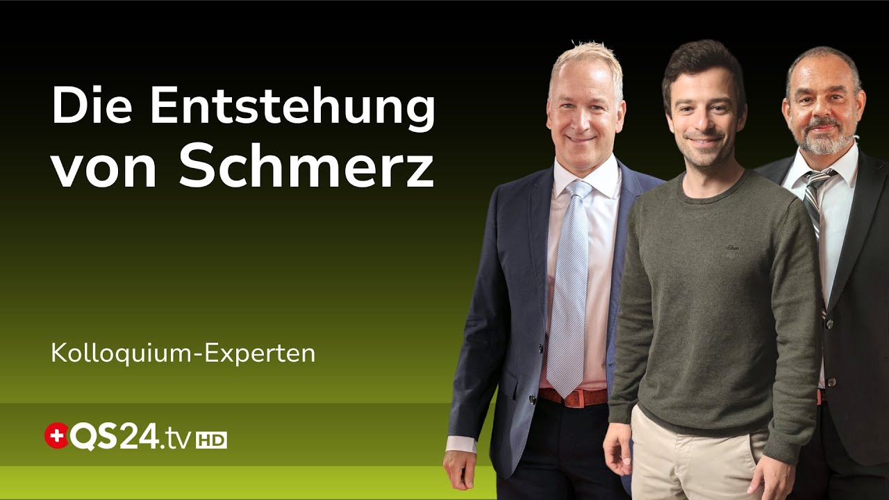 Von Nervenbahnen bis zur Empfindung: Eine Reise in die Anatomie und Physiologie | QS24