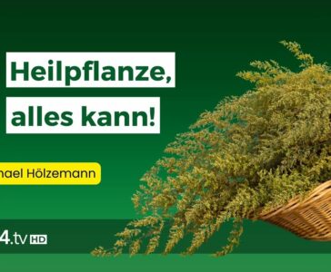 Artemisia Annua: Die „Wunderpflanze“ gegen Malaria und Krebs | Erfahrungsmedizin | QS24