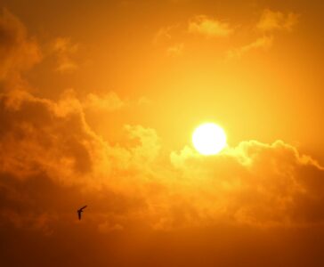 Neues zur Vitamin-D-Debatte: Wie viel brauchen Sie wirklich?