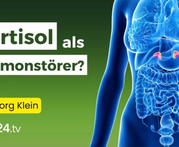 Die Rolle von Cortisol & Co: Hormonelles Gleichgewicht für Frauen | Erfahrungsmedizin