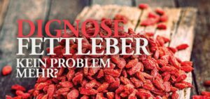 Mehr über den Artikel erfahren DIAGNOSE FETTLEBER – Kein Problem mehr?