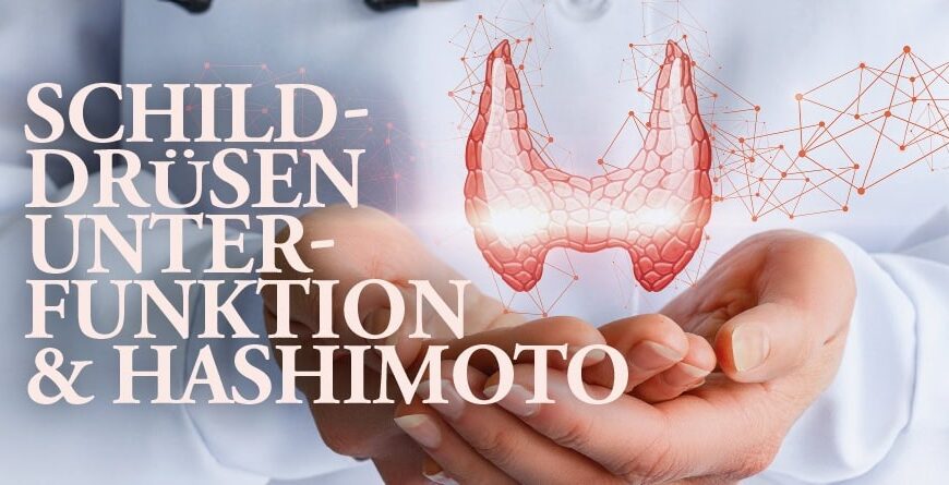 Schilddrüsenunterfunktion & Hashimoto