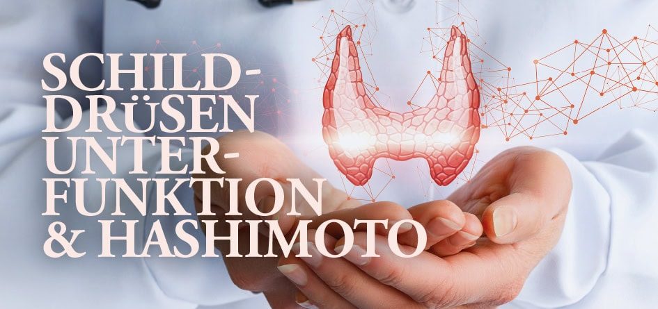 Du betrachtest gerade Schilddrüsenunterfunktion & Hashimoto
