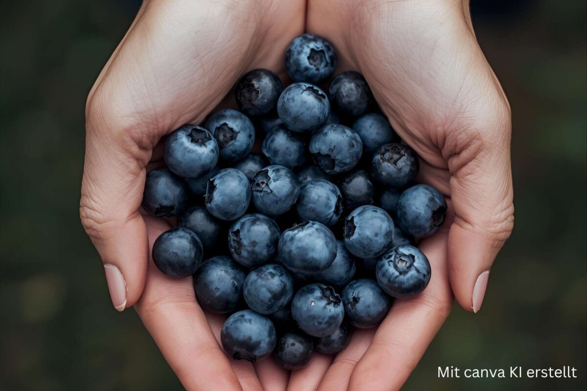 WILDHEIDELBEER-EXTRAKT AUS SKANDINAVIEN