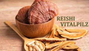Mehr über den Artikel erfahren Podcast Episode 2: Reishi – der göttliche Pilz der Unsterblichkeit