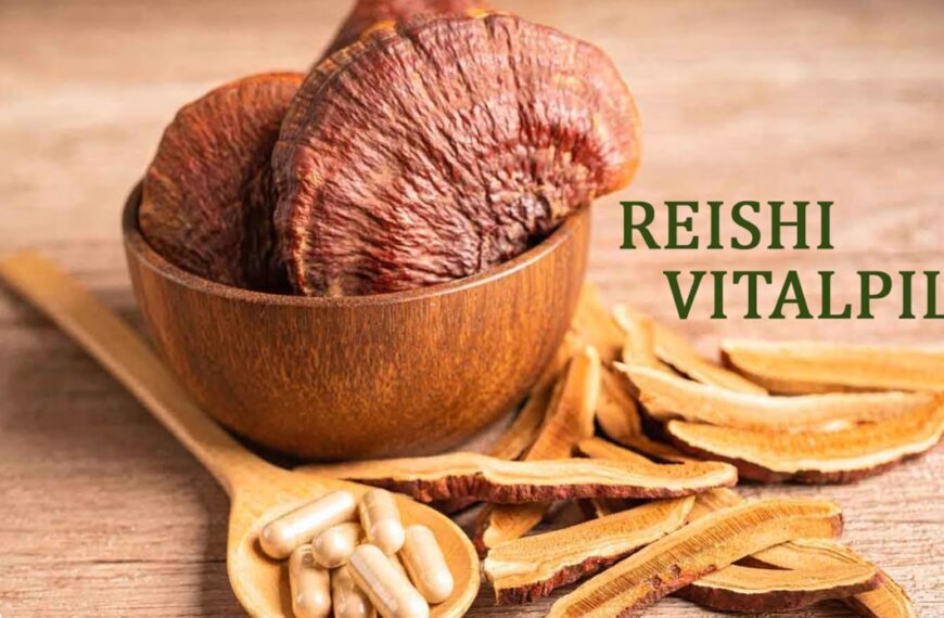 Podcast Episode 2: Reishi – der göttliche Pilz der Unsterblichkeit