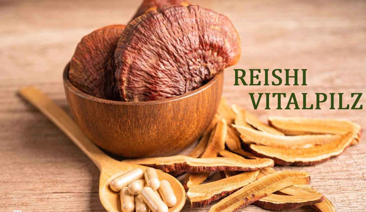 Du betrachtest gerade Podcast Episode 2: Reishi – der göttliche Pilz der Unsterblichkeit
