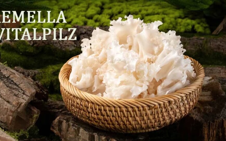 Podcast Episode 1: Tremella – der Schönheitspilz des Kaiserhofs