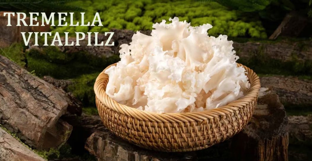 Podcast Episode 1: Tremella – der Schönheitspilz des Kaiserhofs