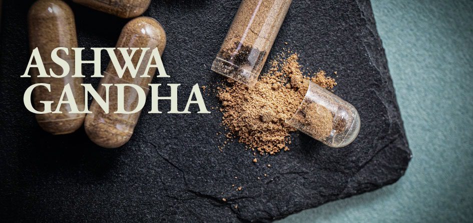 Mit Pflanzenkraft gegen die Angst